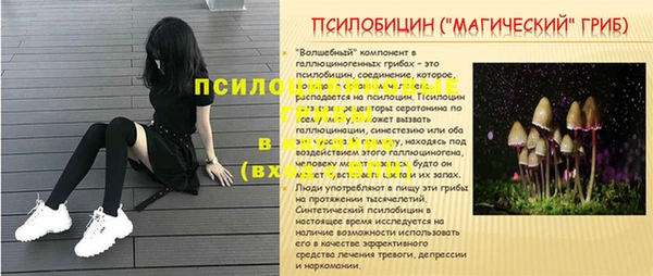 гидра Осташков