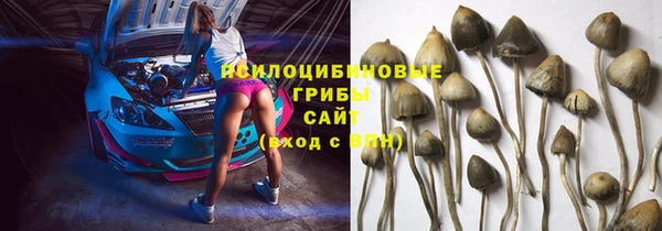 a pvp Осинники